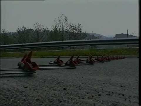 Geisterfahrer Kralle