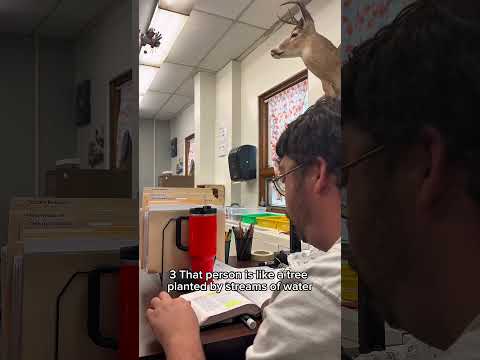 YouTube video