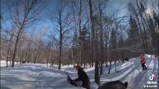 Download lagu When you wish you had an AR-15 for hog hunting mp3 Download lagu When you wish you had an AR-15 for hog hunting mp3