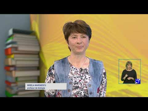 TeleŞcoala: Biologie – Diviziunea celulară (@TVR2)