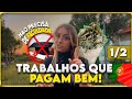 Como Conseguir Emprego Em Portugal Que Paga Bem PART 1