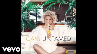 Cam - Half Broke Heart (Audio)