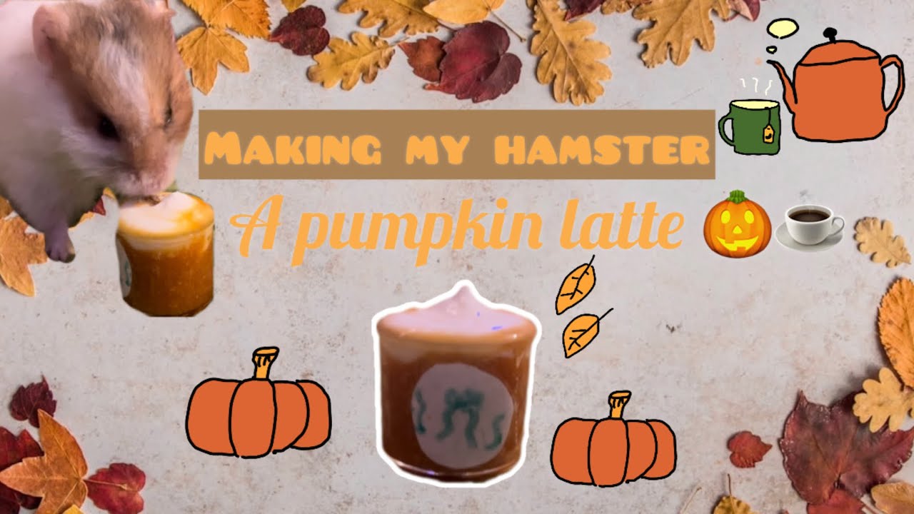 Making My Hamster A Pumpkin spice Latte || Hamster Kitchen Episode 2