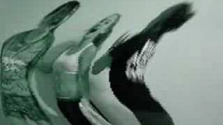 Sheets Of Egyptian Cotton