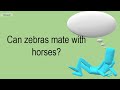 Can Zebras Mate With Horses