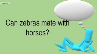 Can Zebras Mate With Horses