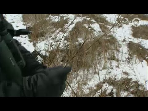 GLD Nieuws 27 januari 2013 - Nieuws