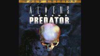 Aliens Vs. Predator [Music] - Fury 161
