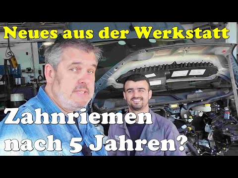Wirklich nötig? Nach 5 Jahren FIAT Ducato Zahnriemenwechsel und maximale Kilometerstände
