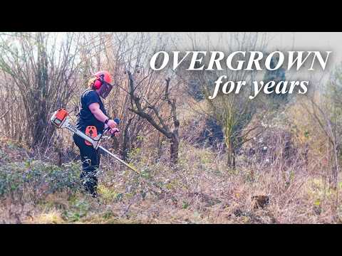 Slowly bringing a forgotten Italian farmhouse back to life