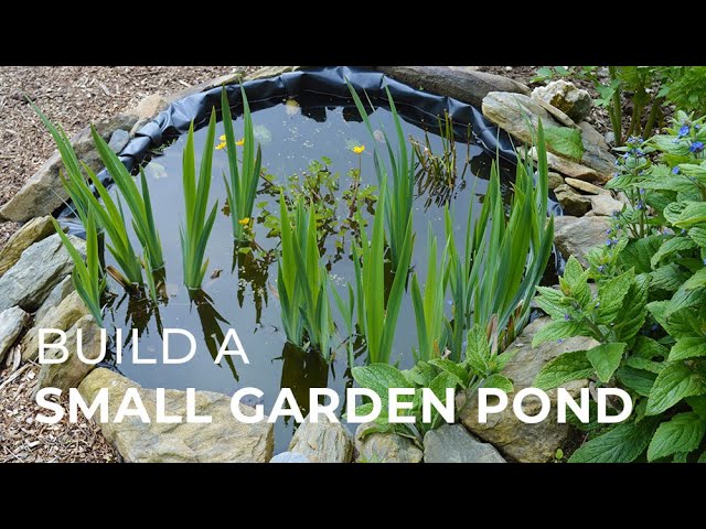 How to build a small Garden Pond