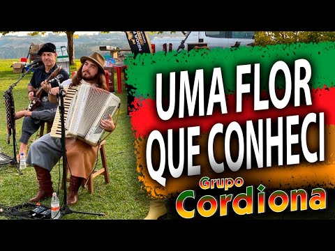 Uma Flor Que Eu Conheci Grupo Cordiona O Grupo do Porca Véia