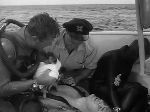 Sea Hunt 2x37 Base of Operations