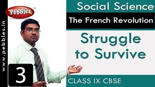 Struggle to Survive : The French Revolution | Social | CBSE Syllabus | Class 9