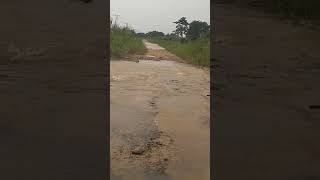 preview picture of video 'Kapan lh jln desa sekumbung kecematan taman Rajo kabupaten Muaro Jambi ko di baikin jln oleh pmrinth'