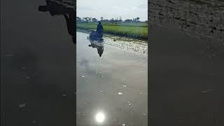 Download lagu manis dan sayang mp3 Download lagu manis dan sayang mp3