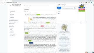 How to Automatically Highlight Keywords on Any Webpage with Easy Highlight Chrome Extension