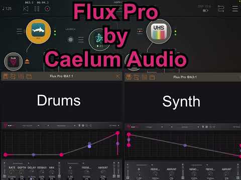 Flux Pro (on VHS Synth and Hammerhead) AUv3 Modulation Envelope by Caelum Audio