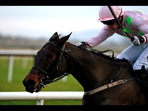 Getabird - Moscow Flyer Novice Hurdle (2018)