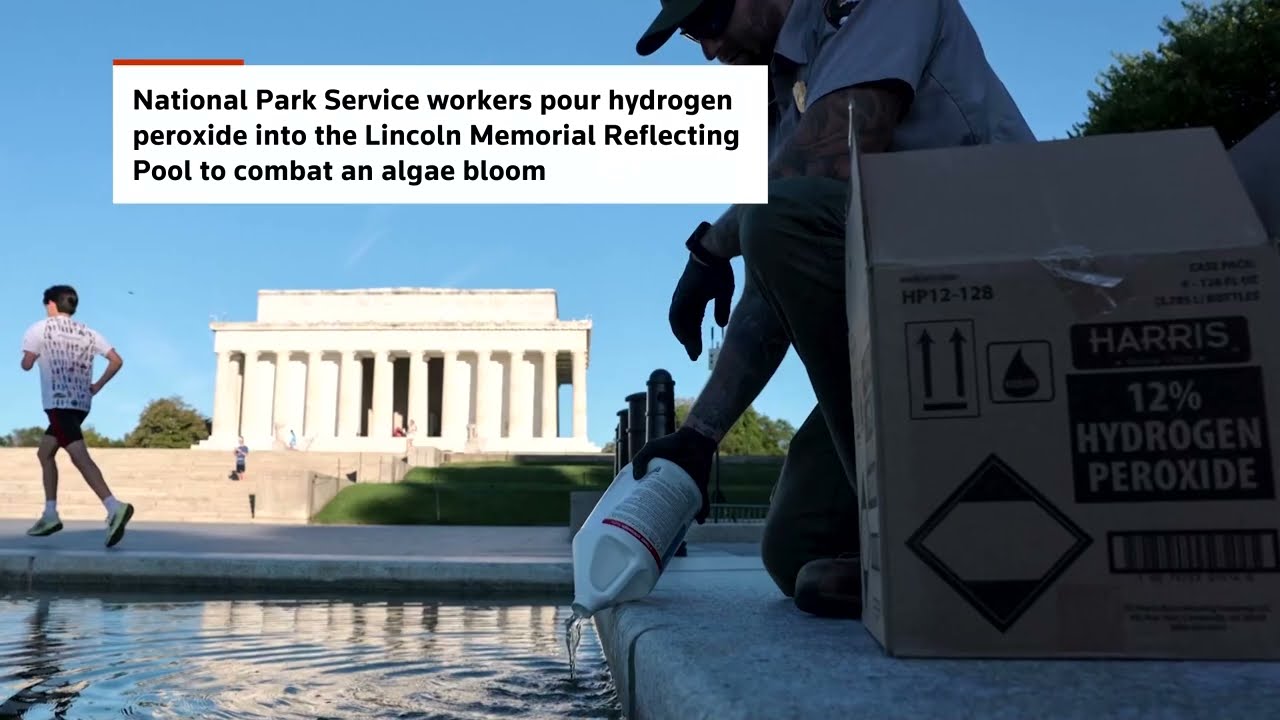 Video: Hydrogen peroxide deployed for Reflecting Pool algae amid renovation
