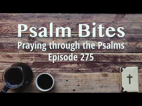 Praying Psalm 119:97-104 | Psalm Bites | Episode 275