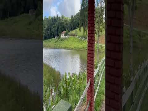 vende-se fazenda em Santa Rita de Caldas Sul de MG #fazendas #sitio #santaritadecaldas