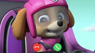 Incoming call from Skye | Paw Patrol