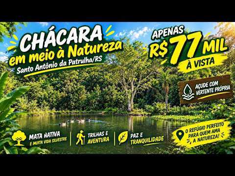 Vídeo