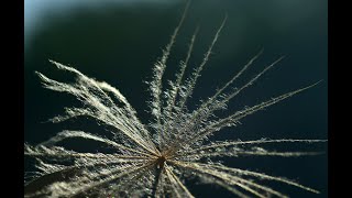 19 :  The Same One -  Brook Benton