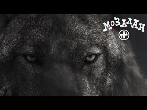 Video thumbnail for Mozalan