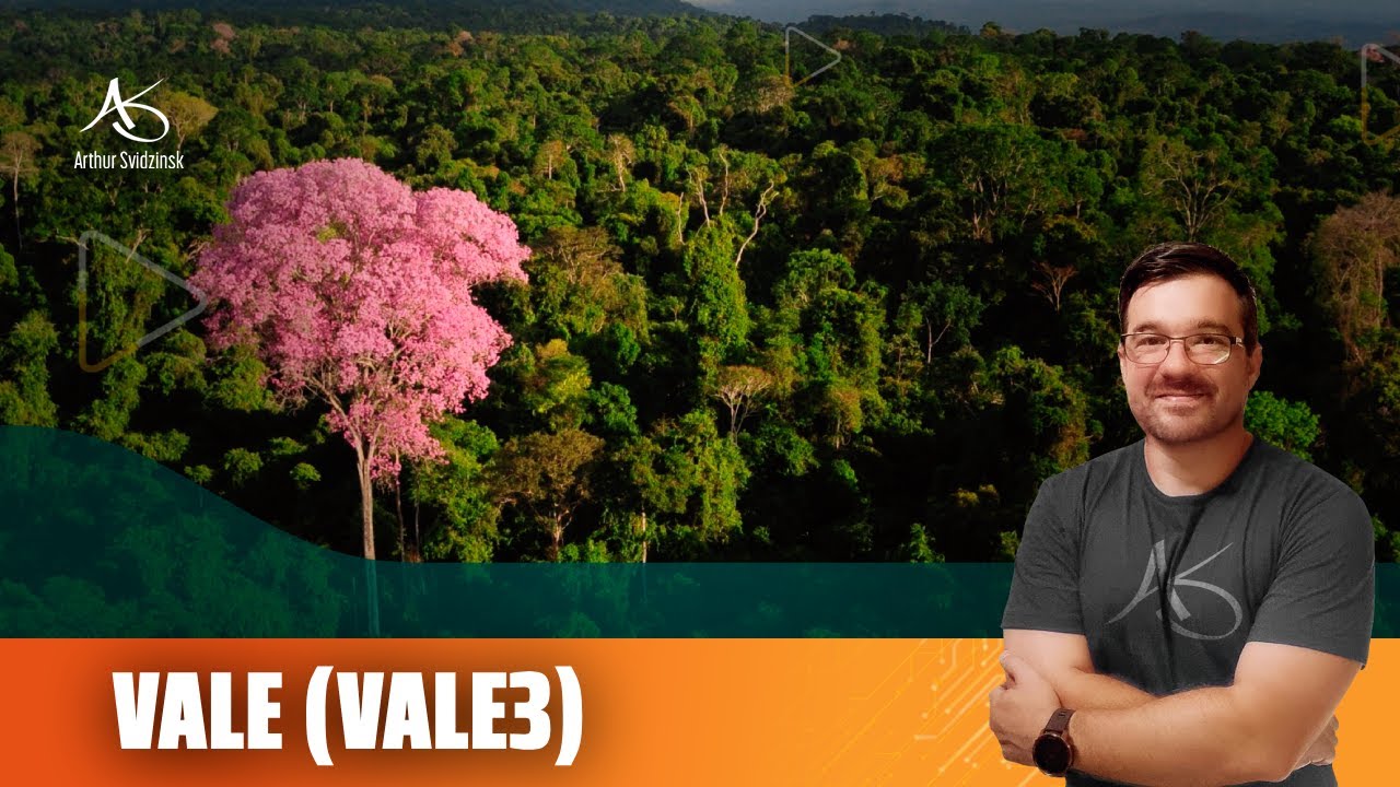 ⛏️ VALE3: Entenda a Vale e Fuja do Ruído do Mercado!