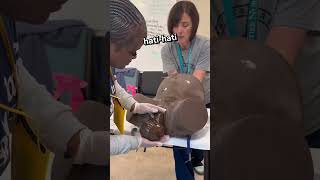 Download lagu Simulation of the Human Birth Process mp3