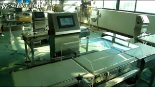 Sistema de chequeo de Peso por balanza dinamica