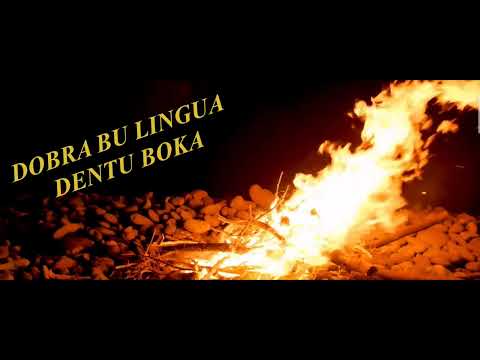 Mr Vayy _ Positivu [AudioLyrics]