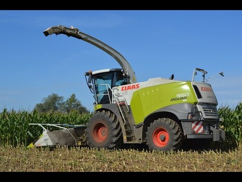 Maishäckseln 2015 : Claas Jaguar 950 Dynamic Power