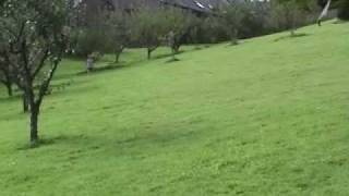 Durutti Column Requiem again