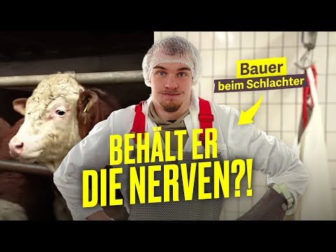 Aus Tier wird Wurst: Bauer Philipp beim Schlachten I Hundert Hektar Heimat
