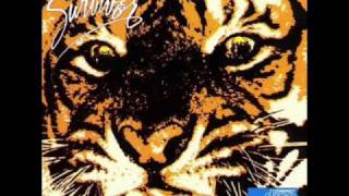 Ten Masked Men - Eye Of The Tiger ( Metal Cover)