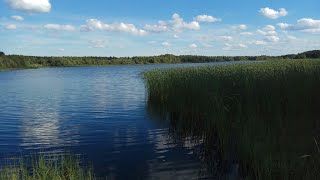 Рыбалка на пруду в коршике