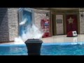SEA WORLD CLAVADO DE LA FOCA CHISTOSA NICKITTA Y TODOS