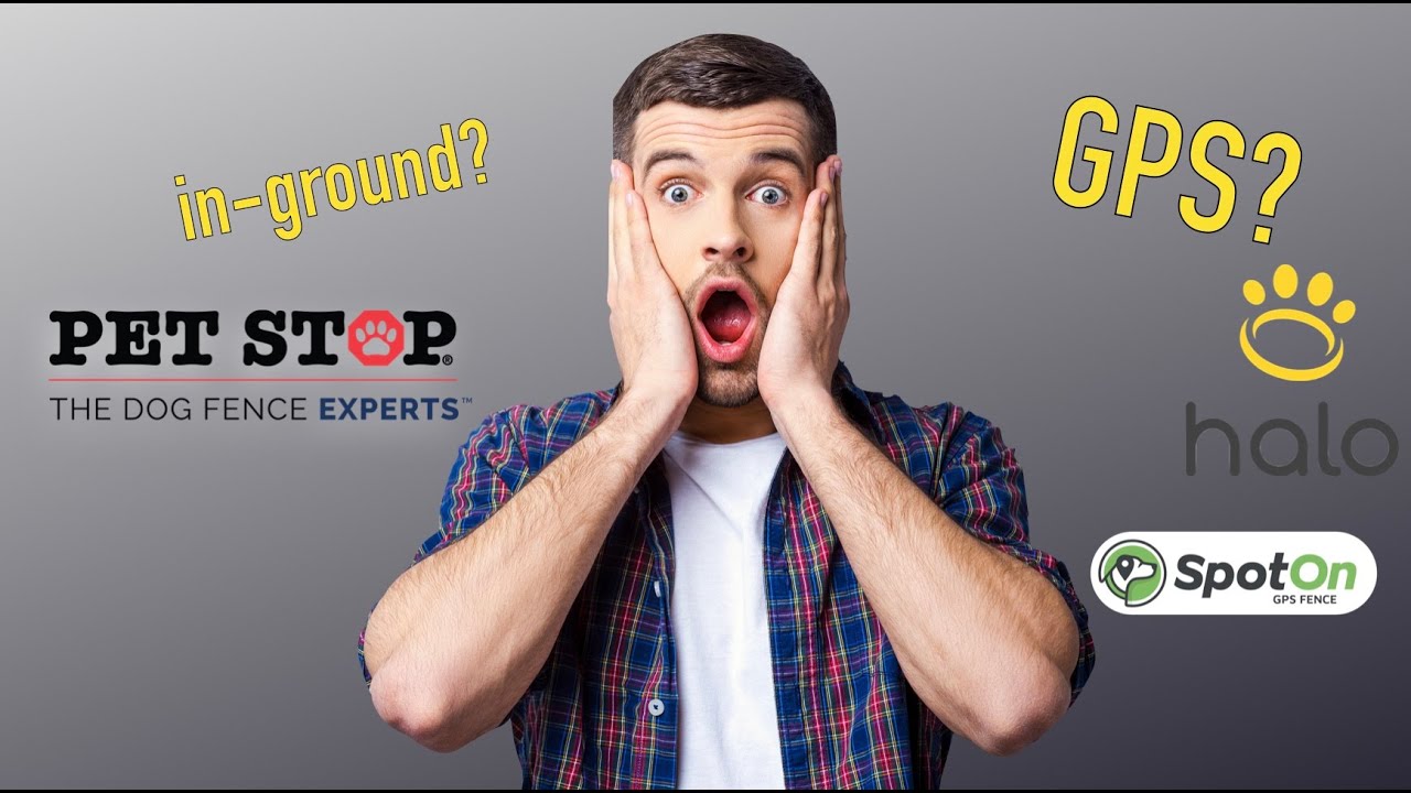 BEFORE You Buy a GPS Collar!! - Hidden Fence of MN