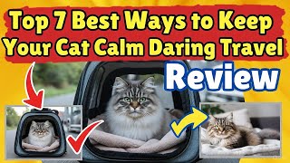 Cat calming products travel | Top 7 Best Keep Cat Calm Durin