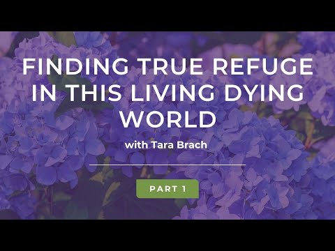 Finding True Refuge in this Living Dying World with Tara Brach (Part 1)