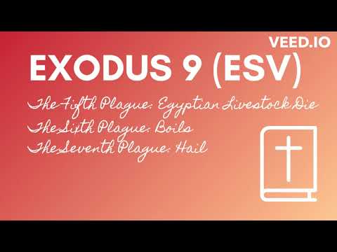 Exodus 9 (ESV) - 5th Plague: Egyptian Livestock Die | 6th Plague: Boils | 7th: Hail - Eng (US) Audio