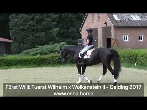 Fürst Willi: FUERST WILHELM x WOLKENSTEIN II