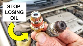 Lexus Burning Oil? Try This First! LEXUS es300