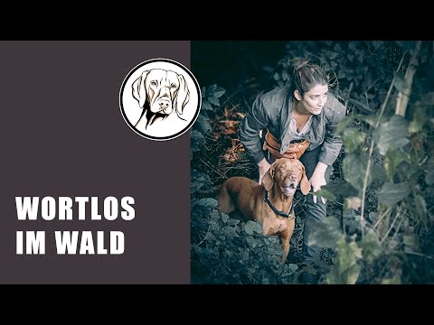 Reden ist Silber, Schweigen ist Gold