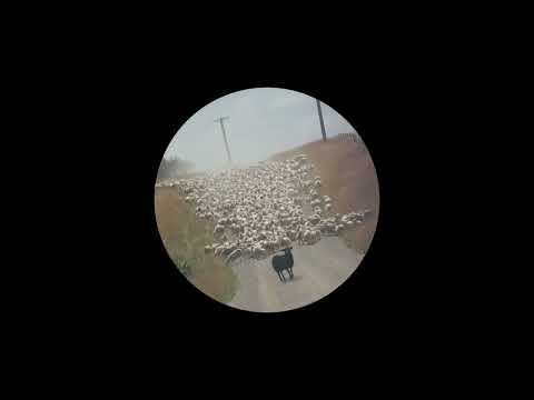 Night House Minimal Bass - SIARES