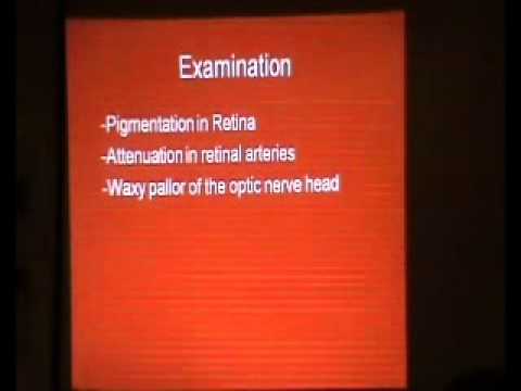 2011 Retinitis Pigmentosa Association - Holland Part5
