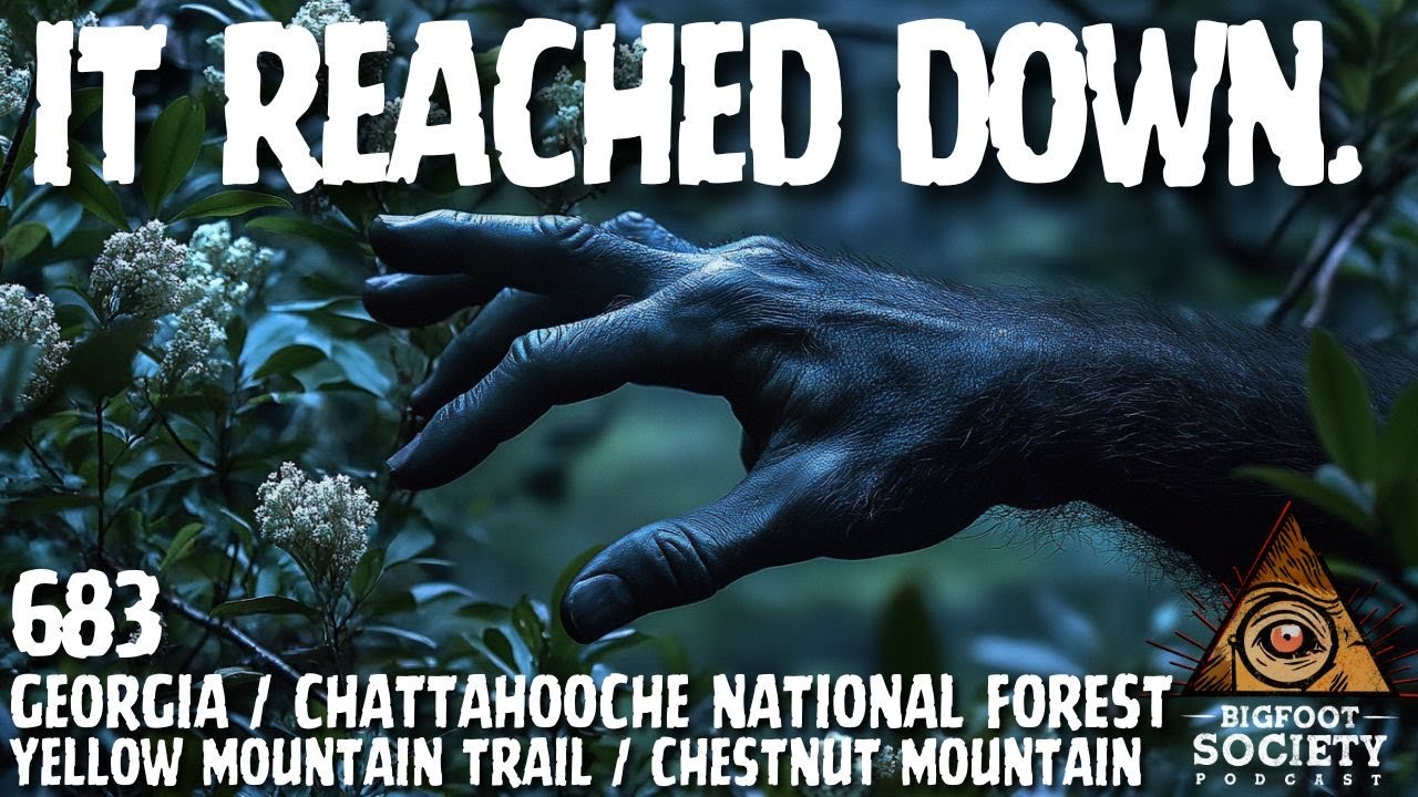 It Reached Down! | Georgia